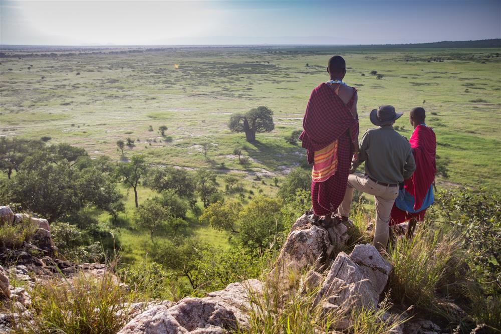 Tarangire Treetops